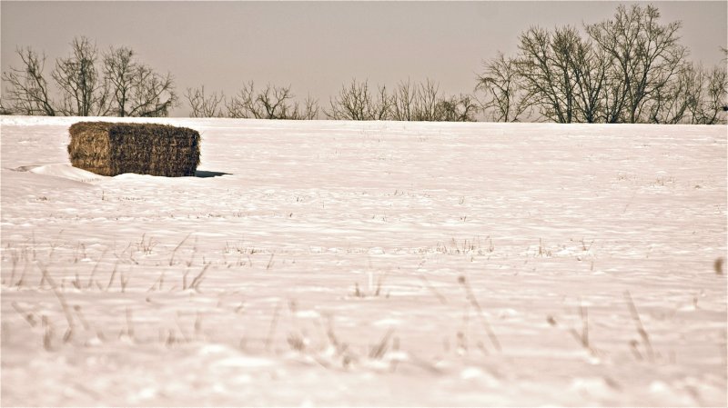 RECTANGULAR HAY