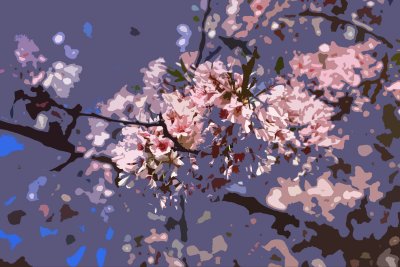 Cut-Out Blossoms