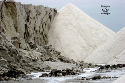 Ever wonder where sea salt comes from?  Camargue (2008)