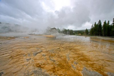 Upper Basin Area - Yellowstone