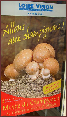 Loire Valley Mushroom Poster