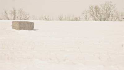 Snowy hay bale.jpg