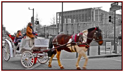 Horse and Buggy ride