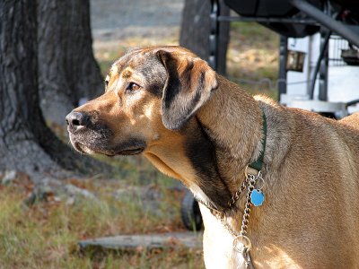 Annie_0410.jpg
