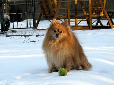 Lacey_0777.jpg