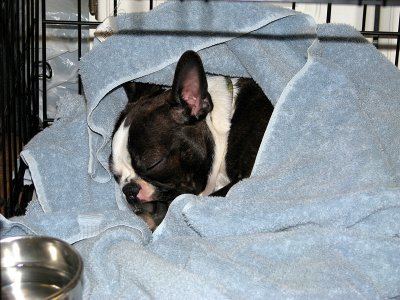 g3/06/127406/3/120918746.eUqV89QI.jpg