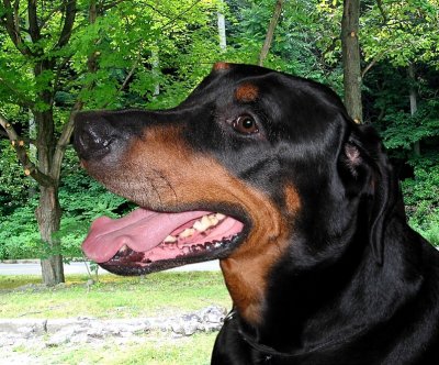 Shiloh_0772.jpg