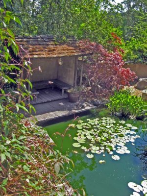 pond behind house and Gallery