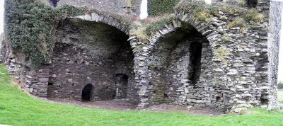 inside Ballycarberry castle