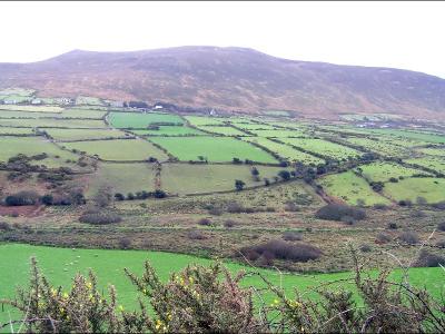 Near Dingle