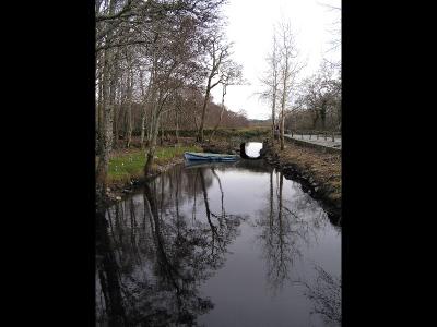 near Ross Castle