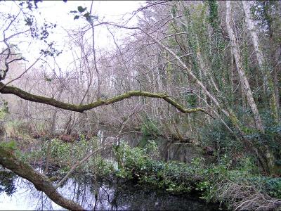 Cloghereen Pool