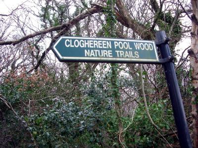 Cloghereen Pool near Muchross estate