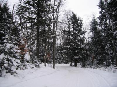 snodeo 05_saturday 073.jpg