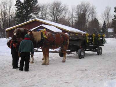 snodeo 05_saturday 081.jpg