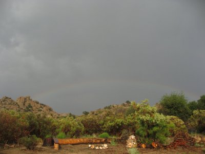 Rainbows appear after the rain