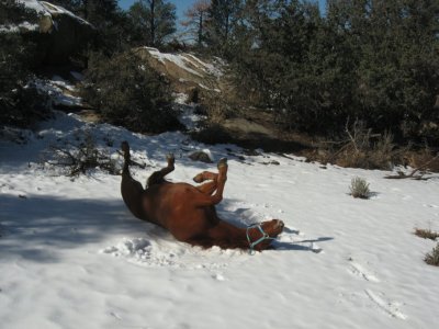 After breakfast roll
