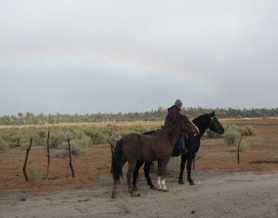See the rainbow?  I wonder what's waiting at the end...