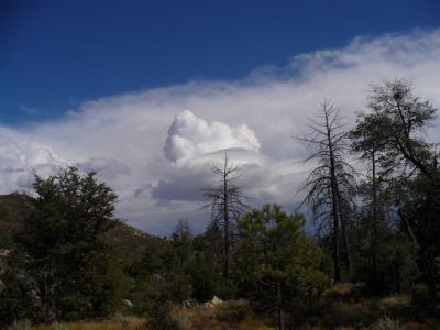 P1000835.JPG