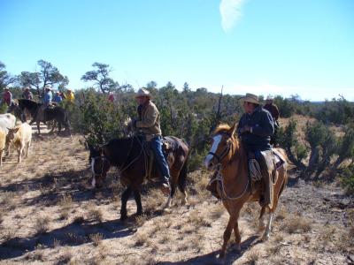Vaqueros