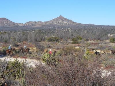 View of ChiChi de la india