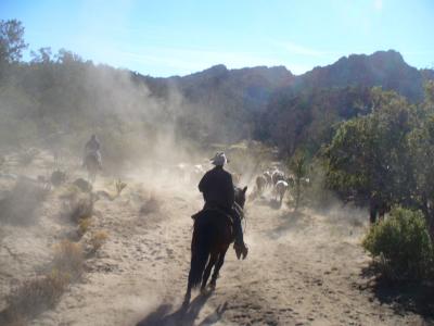 Cowboy in the dust