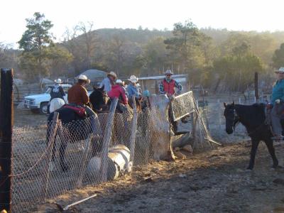At the water trough