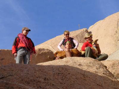 Climbers & Dogs