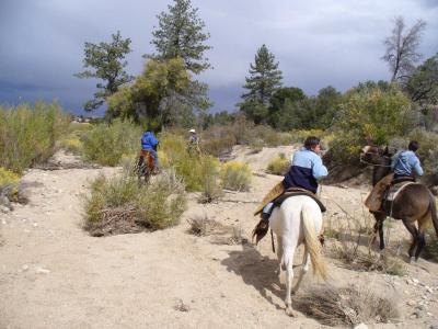 Turning around the horses to get a wind blown hat