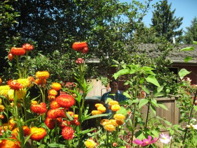 Arwen's garden - see her through the flowers?