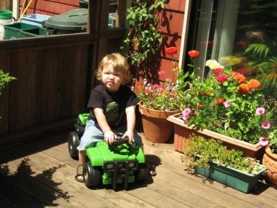 Dylan and his tractor