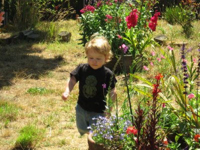 Dylan in the garden