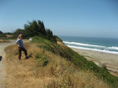 Cliffs over the beach