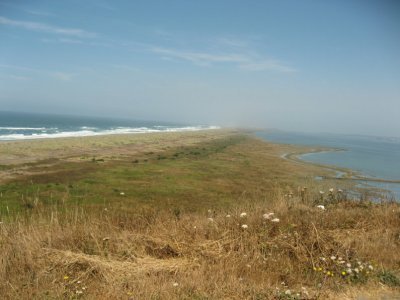 IMG_0486.jpg