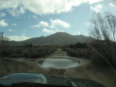 Modern Day Mexican Cattle Drive from El Topo to the Desert Dec 07