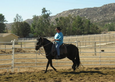 Joy trying out the new mare for the first time