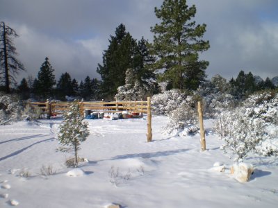 Sun on Snow