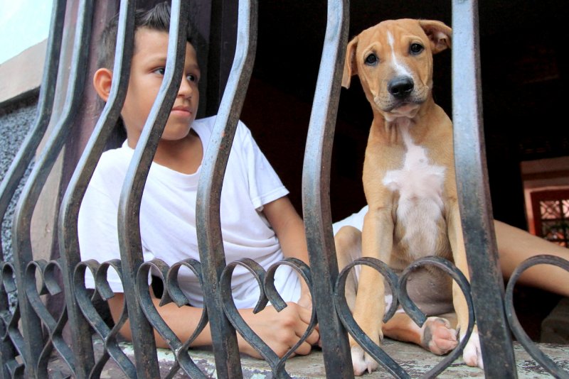 A Boy and his Dog