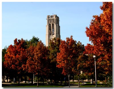 Toledo University