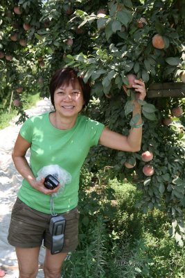 Summer trip 2008