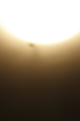 BT9G0110.JPG