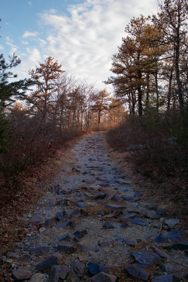 blue rock path.jpg