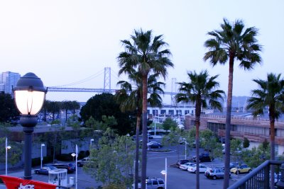 IMG_2890.JPG