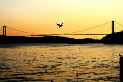 Istanbul kanatlarimin altinda