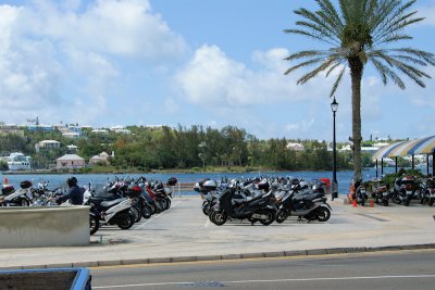 g3/06/371906/3/113840460.ZnhM0jWd.jpg