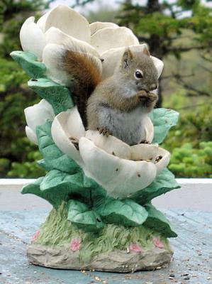 g3/06/371906/3/30700810.Squirrel03.jpg