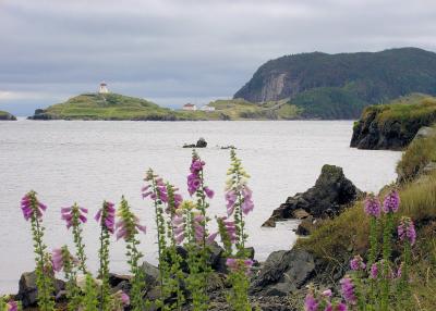 g3/06/371906/3/33652269.Bonavista21245X7.jpg