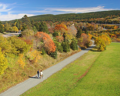 Bowring Park Autumn Colors 013