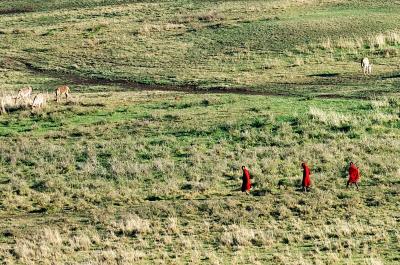 Masai shepherds