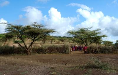 Masai village II